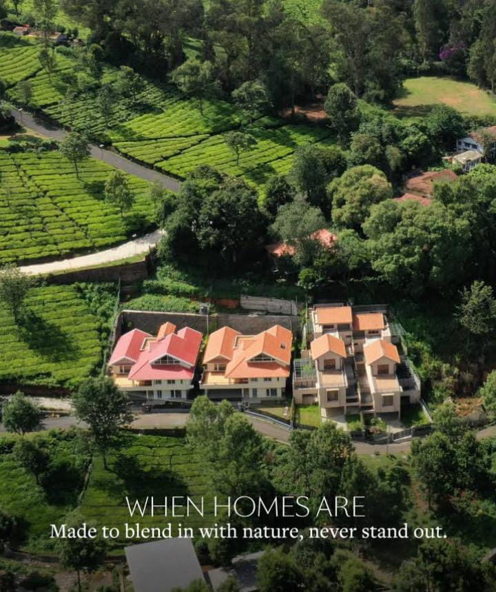 Commercial Construction Project