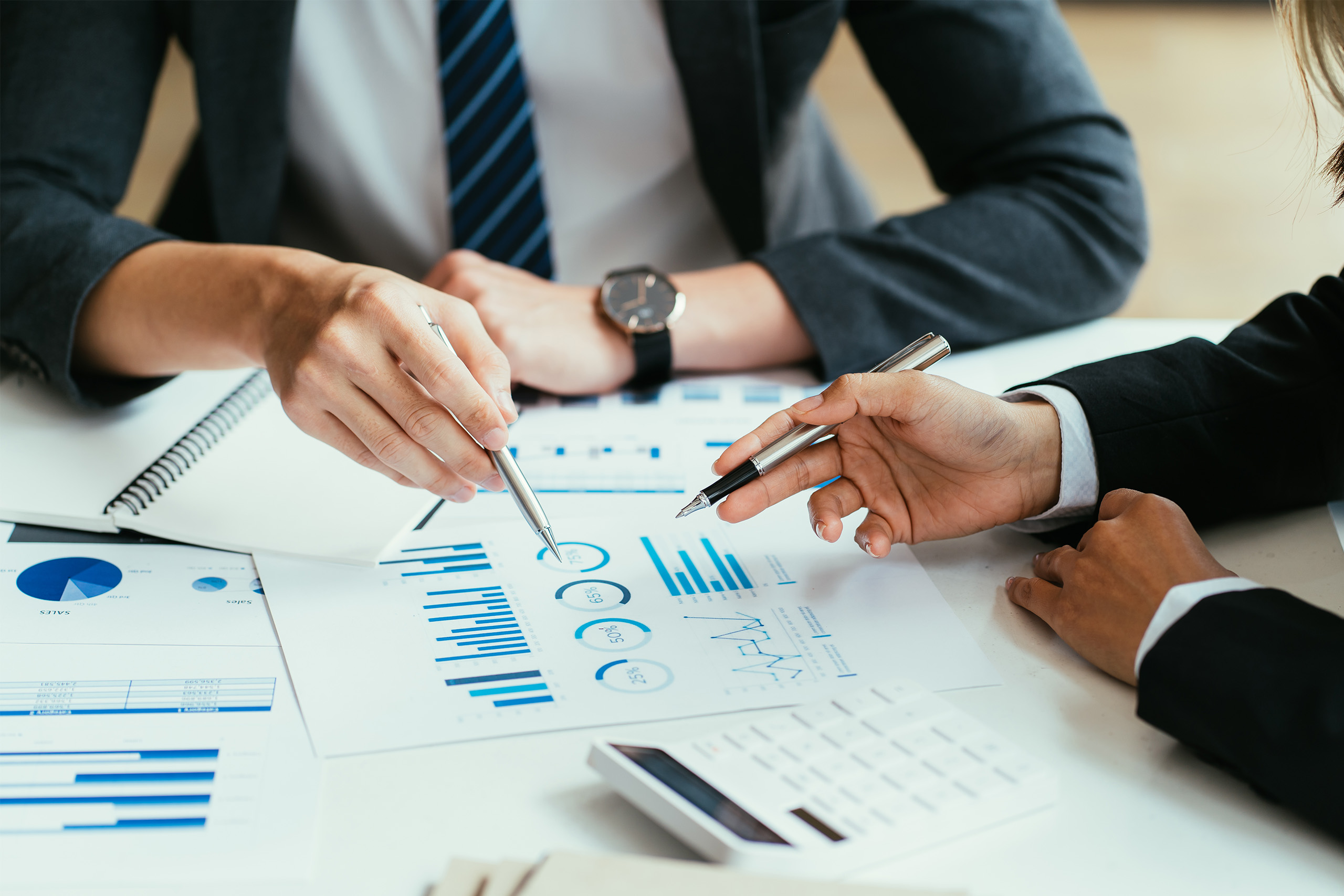 Project Management Consulting